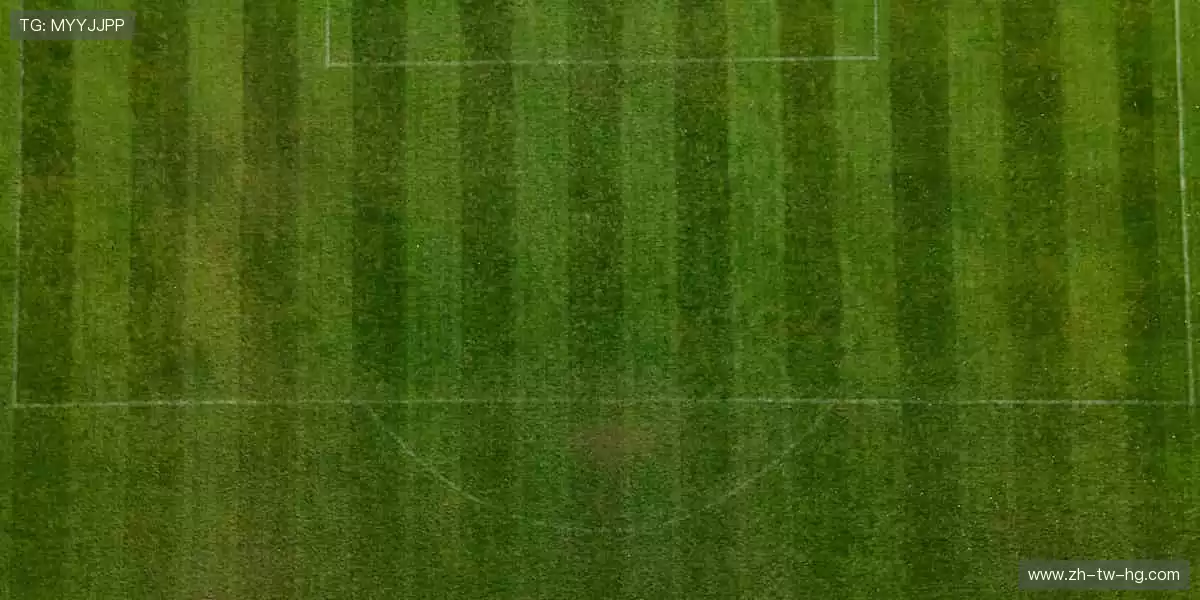 🏆汗水铸就辉煌，赛场书写传奇！💦